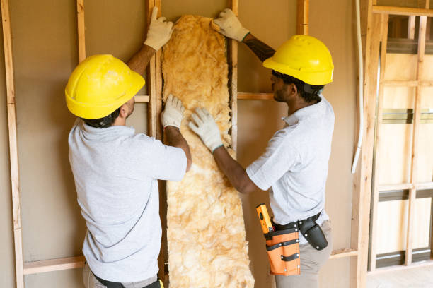Best Insulation Contractor Near Me  in Freemansburg, PA