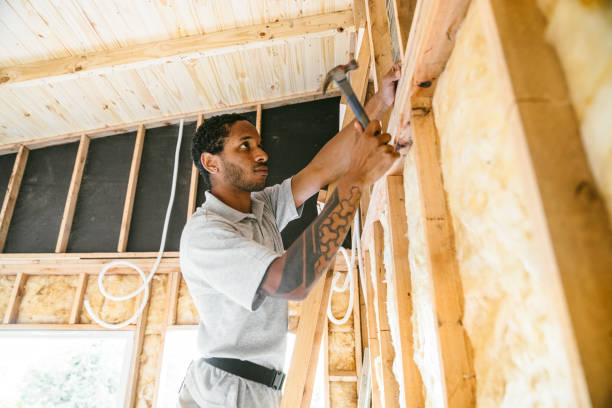 Best Best Insulation Companies  in Freemansburg, PA