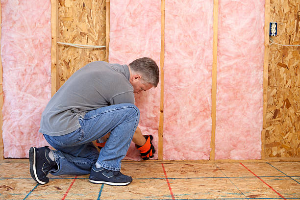 Best Attic Insulation Installation  in Freemansburg, PA